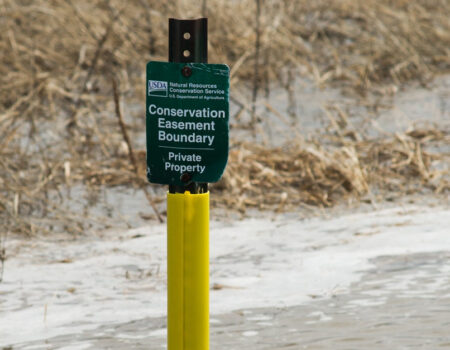 Tax Deductions for Conservation Easements of Property