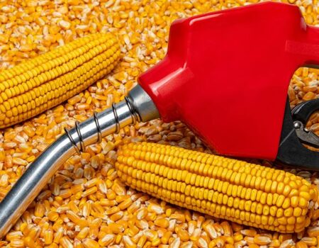 Form 6478, Alcohol and Cellulosic Biofuel Fuels Credit
